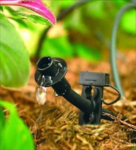 Garden Festival (2) Rain Bird Sprinkler