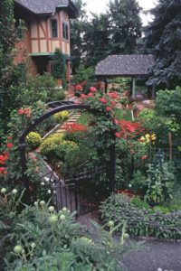 Lush garden