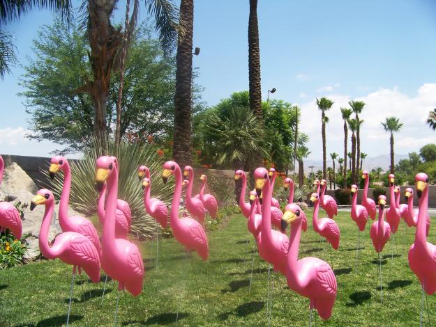 Don’t Over Decorate your Lawn