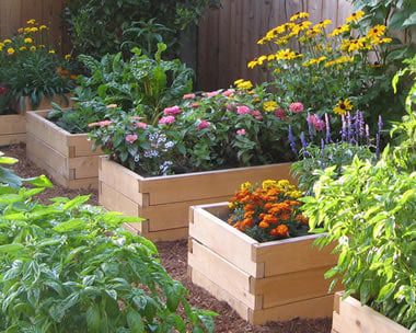Tips on Building Raised Beds