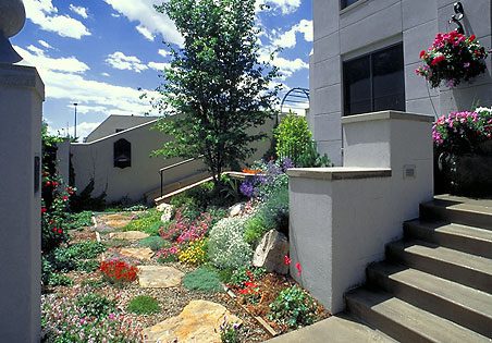 xeriscape garden backyard design trends