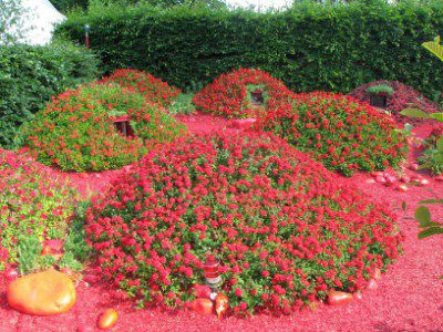 The Garden Festival
