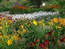 Colorado Fall Landscaping Tips