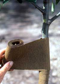 Your November Landscaping Checklist