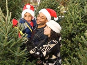 pick-the-perfect-christmas-tree-af pick-the-perfect-christmas-tree-af