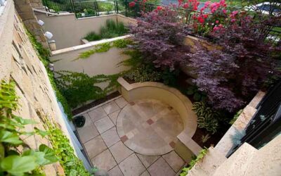 Graceful Espaliers for your Garden
