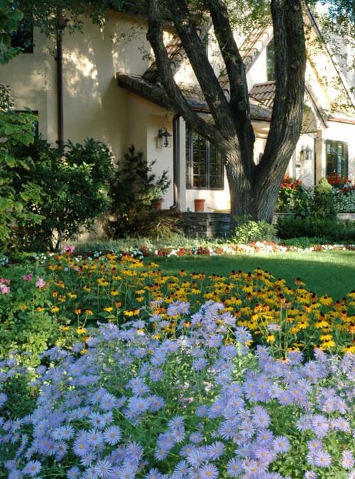 What Flowers to Plant in the Spring in Colorado