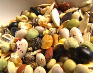 seeds2 seeds2