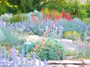 xeriscape landscaping example