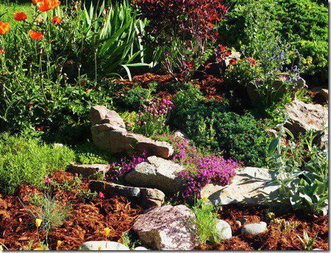 Mulch can help your plants beat the Heat