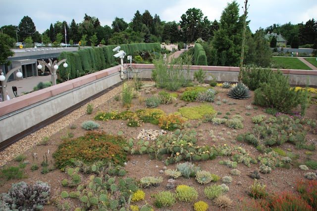 Green Roofs: A Top Design Trend of 2011