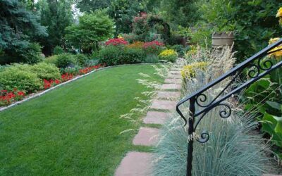 3 Reasons to hire a Landscape Professional