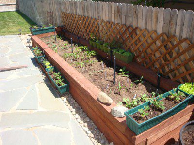 A Healthy Garden for a Healthy Lifestyle