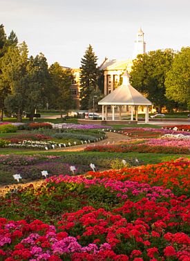 Colorado State’s Annual Flower Trail Garden