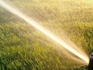 automatic sprinkler