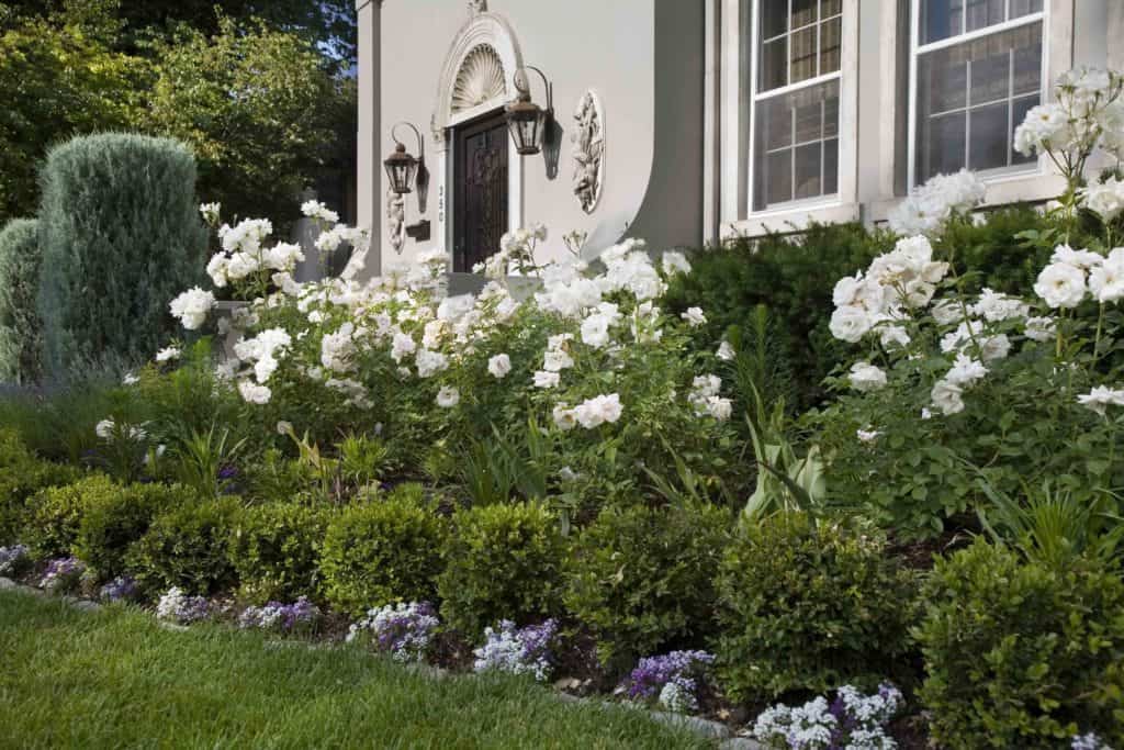 freyer landscape renovation