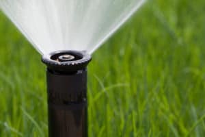 sprinkler_shutterstock