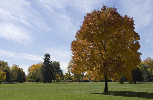 A Great Fall Season