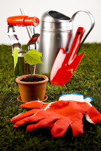 Great Gifts for the Garden