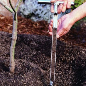 checking soil moisture