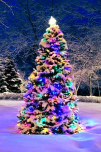 Decorated christmas tree