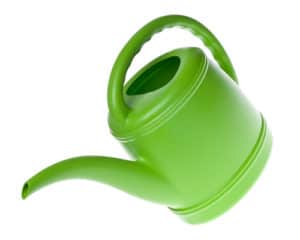 Green Plastic Watering Can