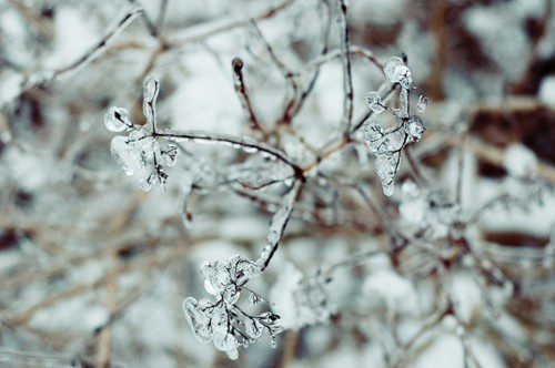 Winter Hardscape Maintenance Tips