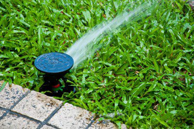 Sustainable Practices for Colorado Lawn Care