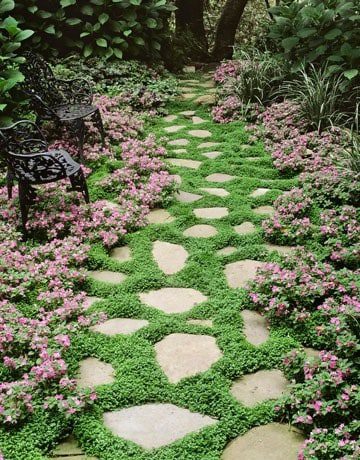 low-growing sedum firewise plants for colorado landscapes