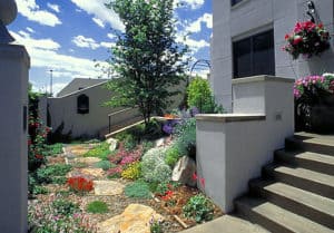 xeriscape by lifescape associates water wise landscaping