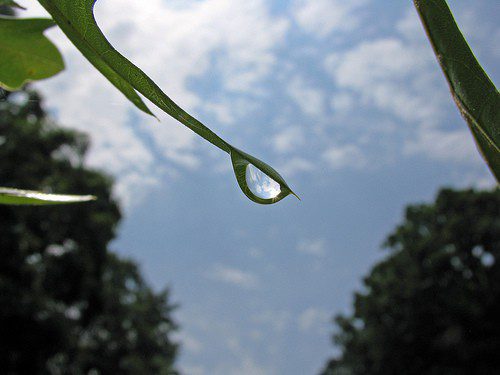 spring watering tips watering tips for colorado gardens
