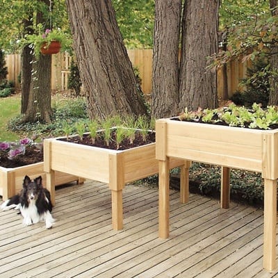raised bed gardening freestanding raised beds