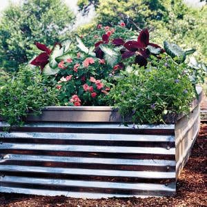 garden design ideas raised bed ideas