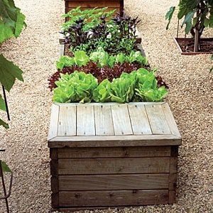 raised bed design ideas raised bed