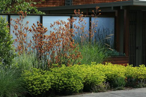 bordering a landscape with perennials for visual interest Perennials