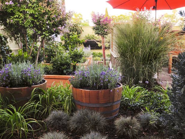 denver landscaping outdoor room design ideas