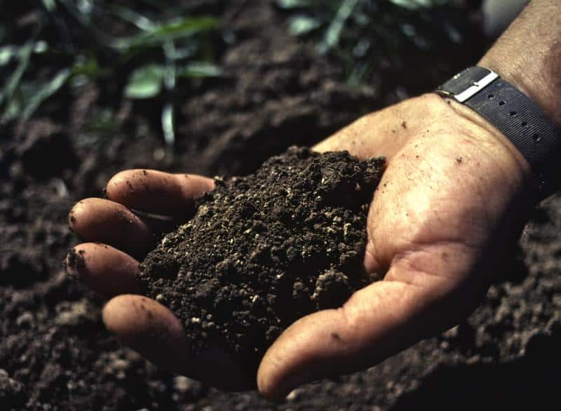 landscapers denver colorado gardening tips