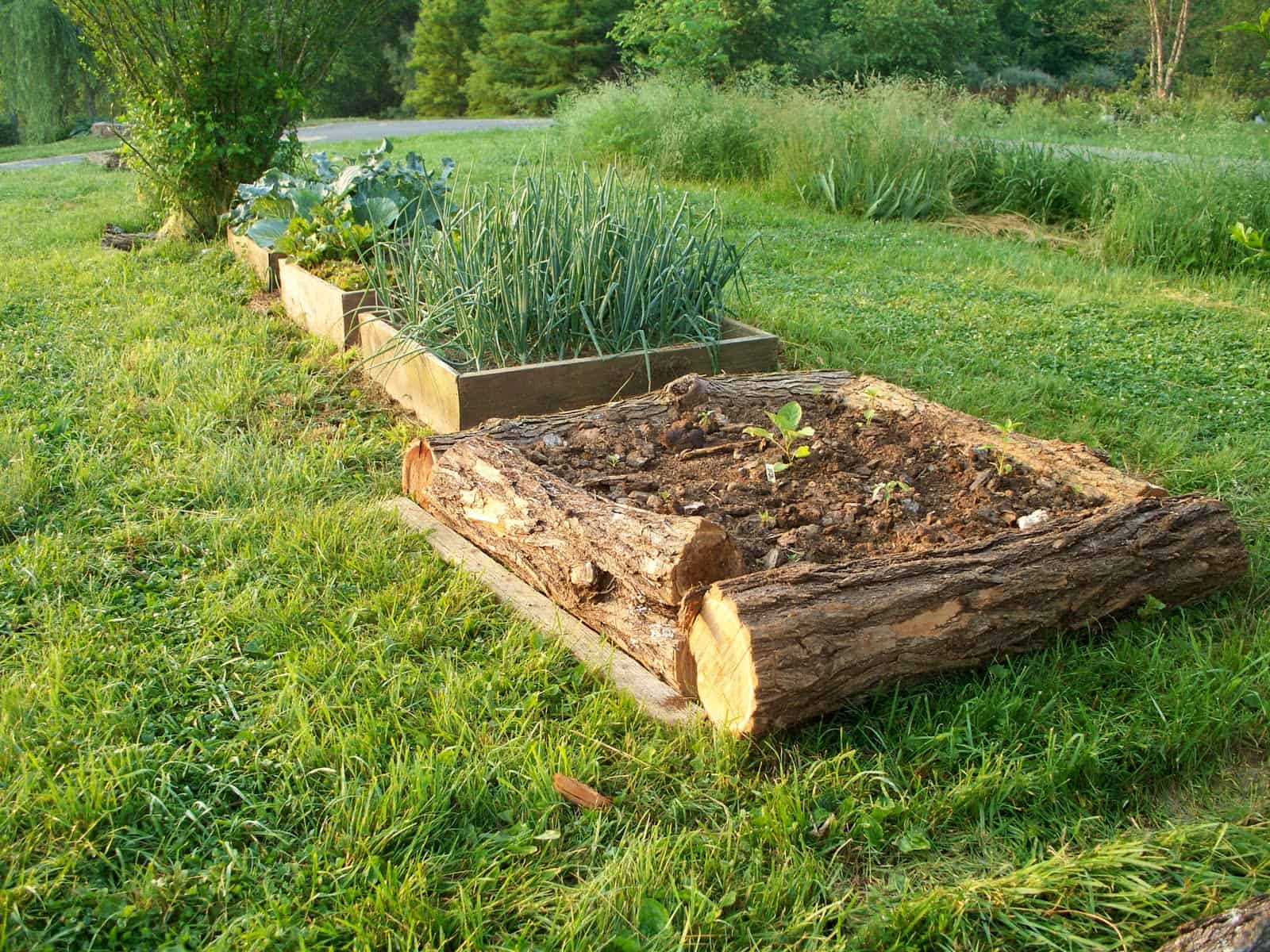 raised bed designs colorado landscaping