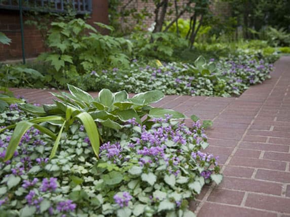 garden design denver landscaping colorado