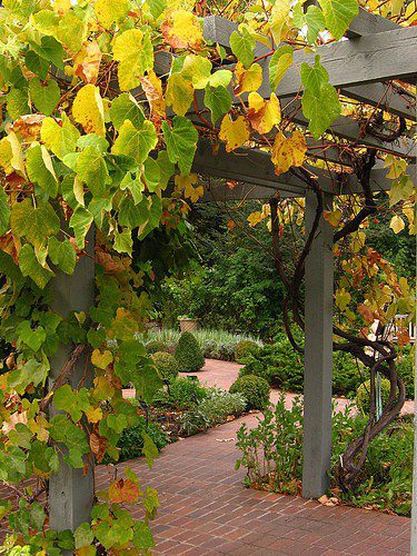 colorado fall gardening denver botanic gardens