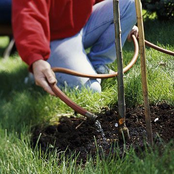 winter garden landscape prep