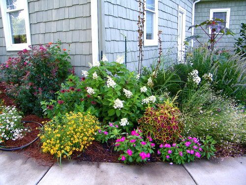 Refresh Your Front Yard Landscape This Fall
