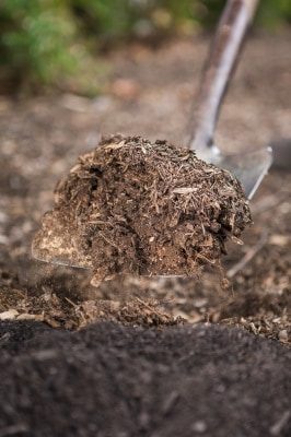 organic gardening soil prep