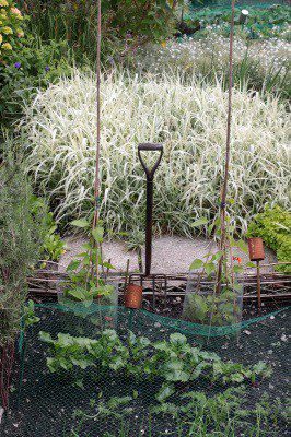 A Garden edible plants in colorado landscape