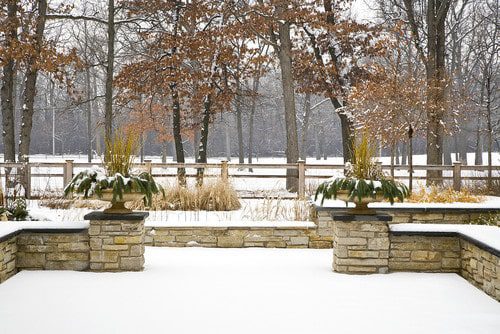 A Colorado Gardener’s December Checklist