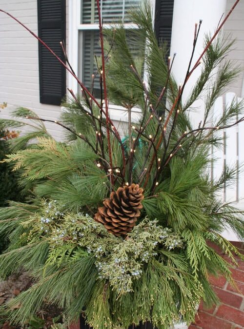 Add Holiday Cheer to Winter Container Gardens