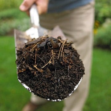 5 Tips for an Enjoyable Spring Garden