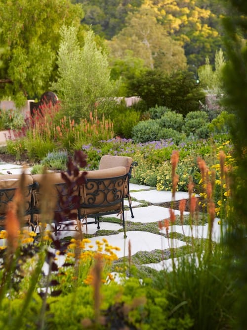Go Green Between Patio Pavers