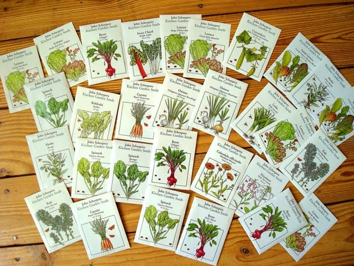 An Overview of Seeds for Spring