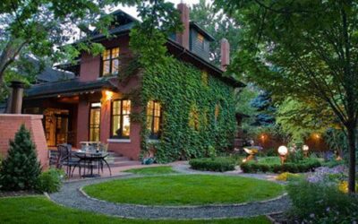How to Design a Drought-Tolerant Landscape